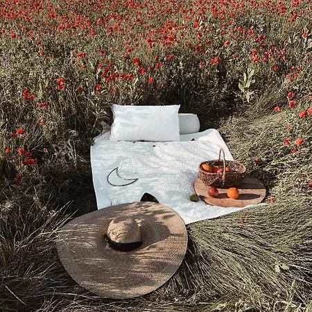 Le Nid Du Soleil * Tourbes